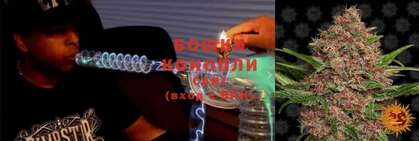 PSILOCYBIN Абдулино