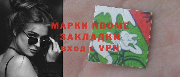 шишки Алзамай