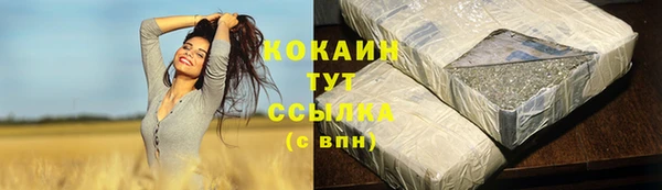 шишки Алзамай