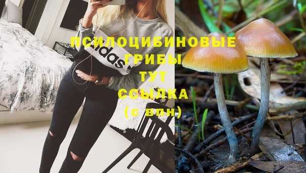 метамфетамин Алексеевка
