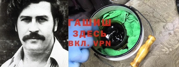 шишки Алзамай